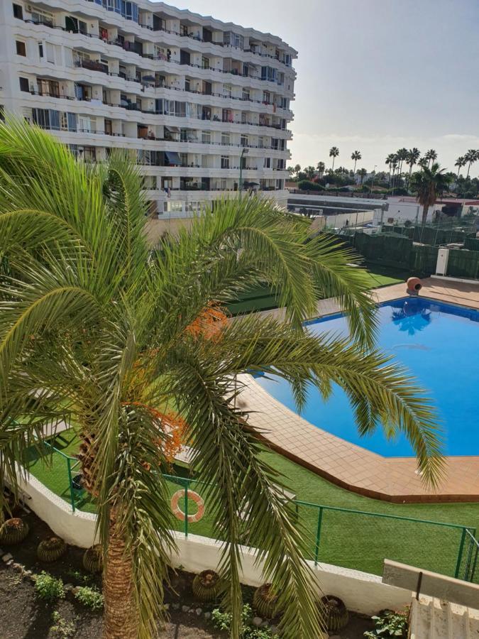 Playa Del Ingles Estudio Los Molinos 205 ماسبالوماس المظهر الخارجي الصورة
